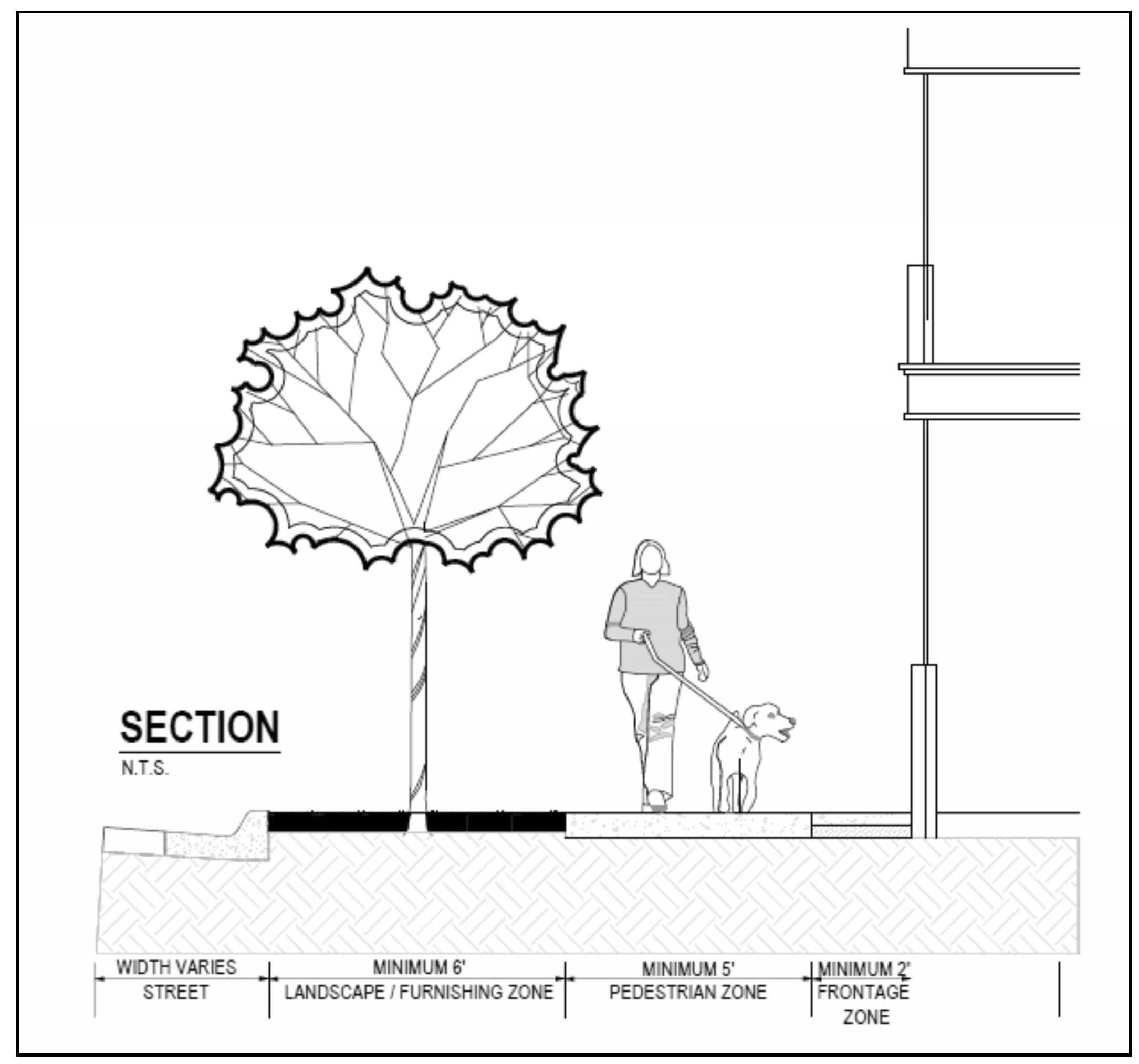 Figure 3. Streetscape Section
