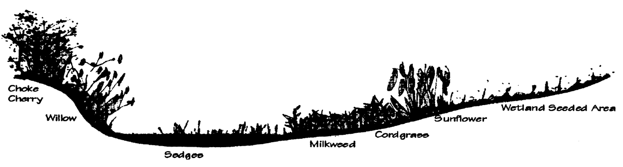 Figure 19-9
