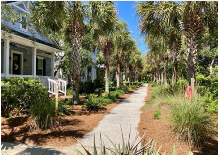 Native landscaping in a mews providing connectivity