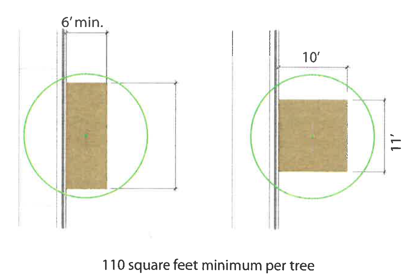 Diagram B. Isolated Tree Situation