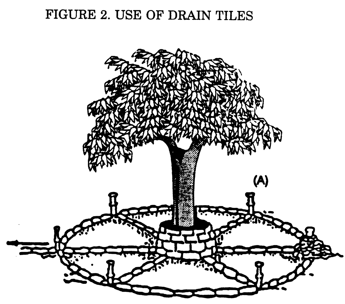 Figure 2—Use of Drain Tiles
