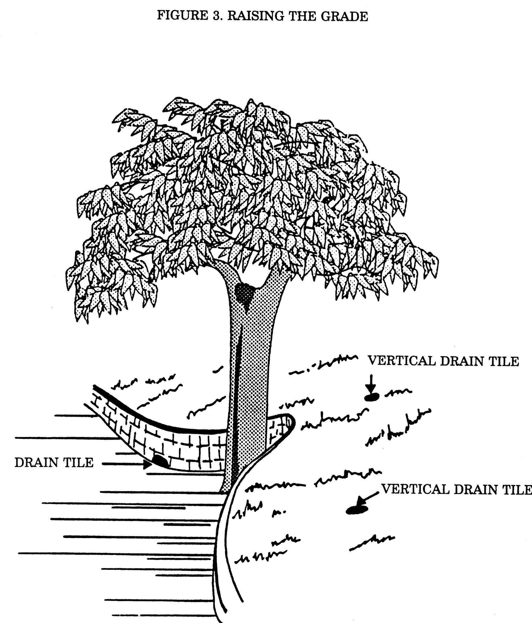 Figure 3—Raising the Grade
