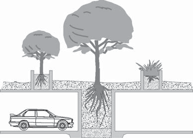 88.42.142 Figure 4-5 - Plantings over Garage