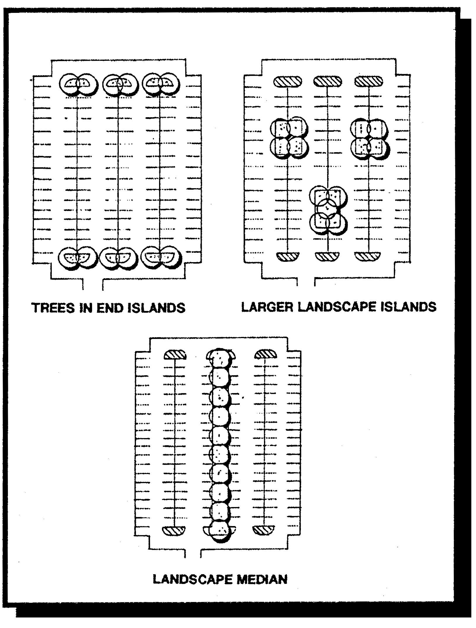 Landscape Islands Within Parking Areas