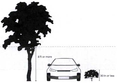 Figure 2 Prohibitions within Visibility Triangle