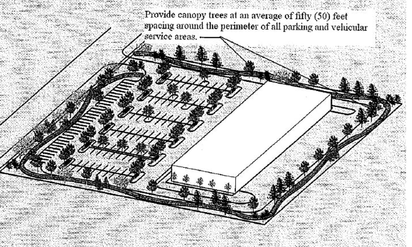 Figure E — Interior Parking areas — Perimeter Trees and Spacing