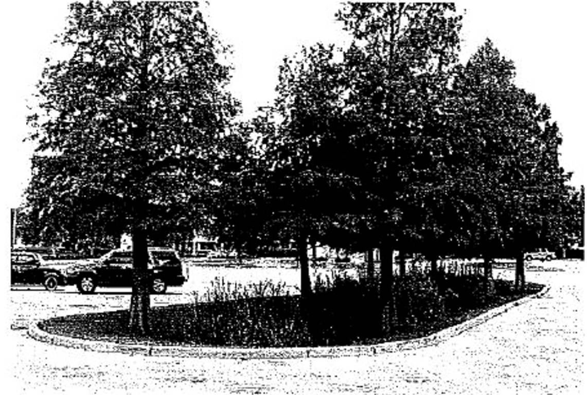 Figure (Photo) H — Interior Parking areas — Rain Garden Example