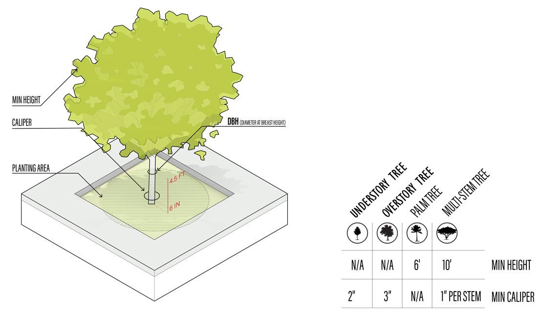 Figure 64-3-7.4 Minimum Planting Dimensions and Planting Area