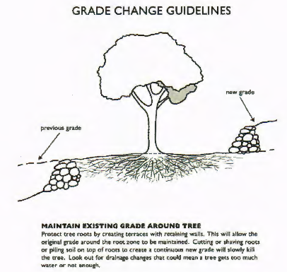 Figure 37-2: Maintain Existing Grade