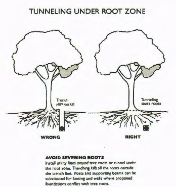Figure 37-3: Proper Utility Line Installation