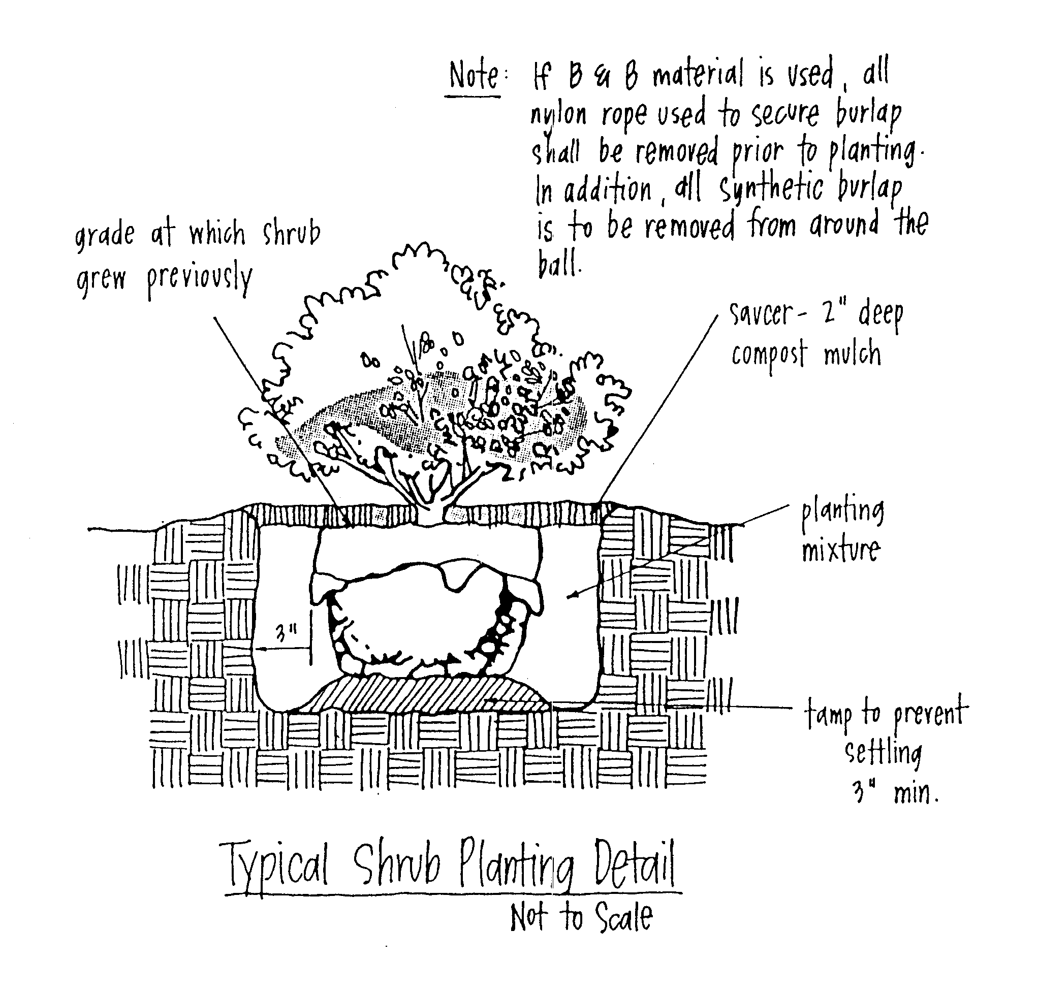 Figure 13:4 Planting and Staking and Guying Details