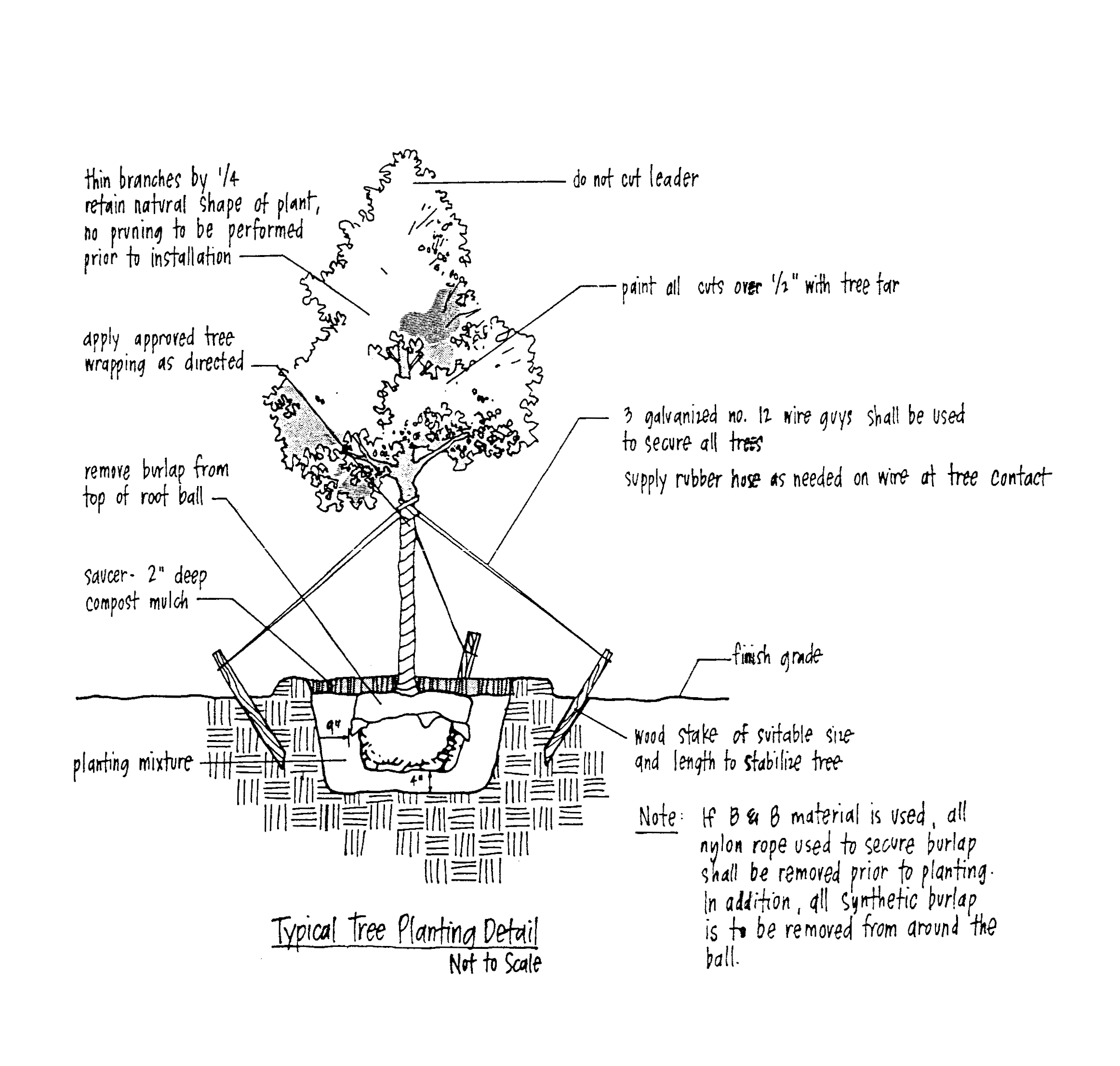Figure 13:5 \Planting and Staking and Guying Details