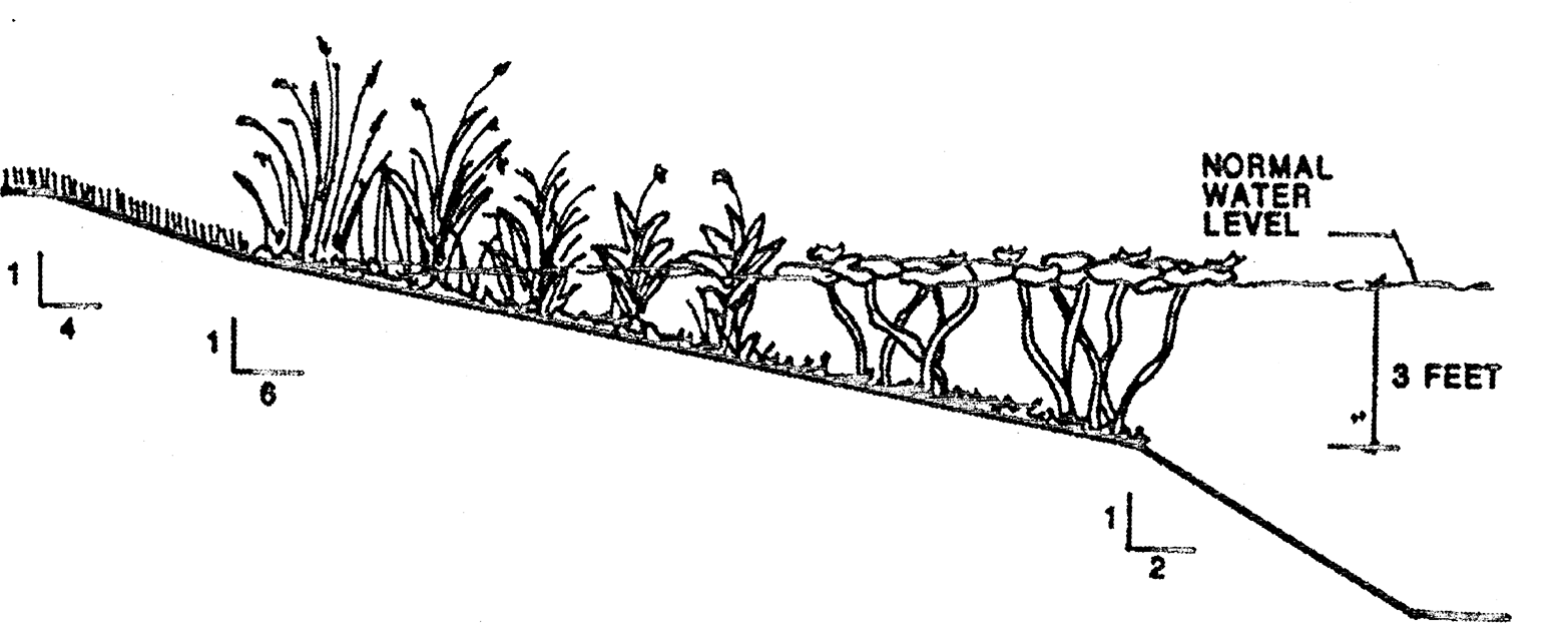 Figure 6.8, Stormwater Detention Basin