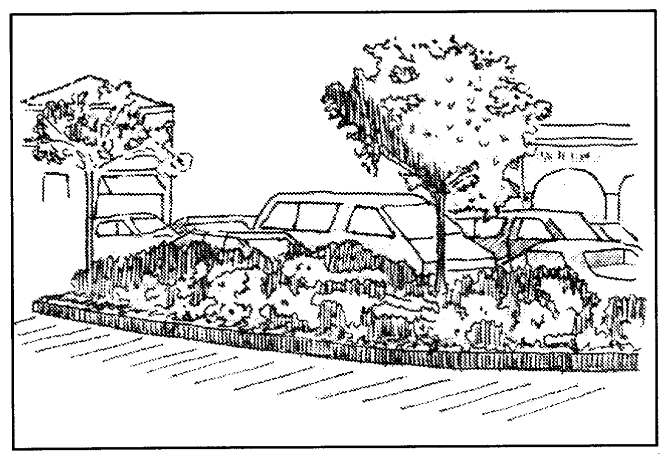 Interior parking lot landscaping breaks up large paved areas and helps to screen rows of parked cars