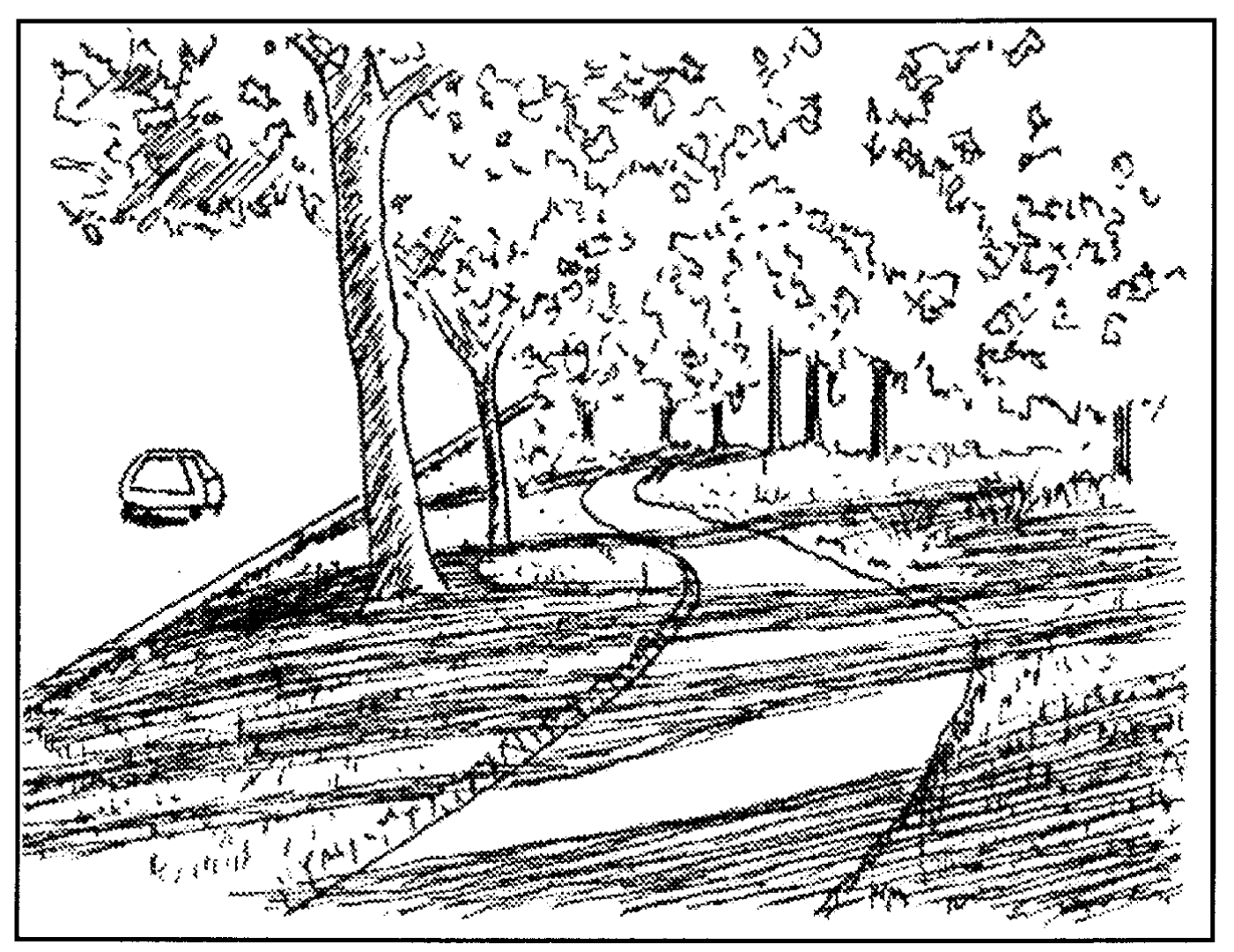 Sidewalks should be separated from arterial highways by means of a landscaped parkway. Also, meandering sidewalks should have flowing, gentle curves