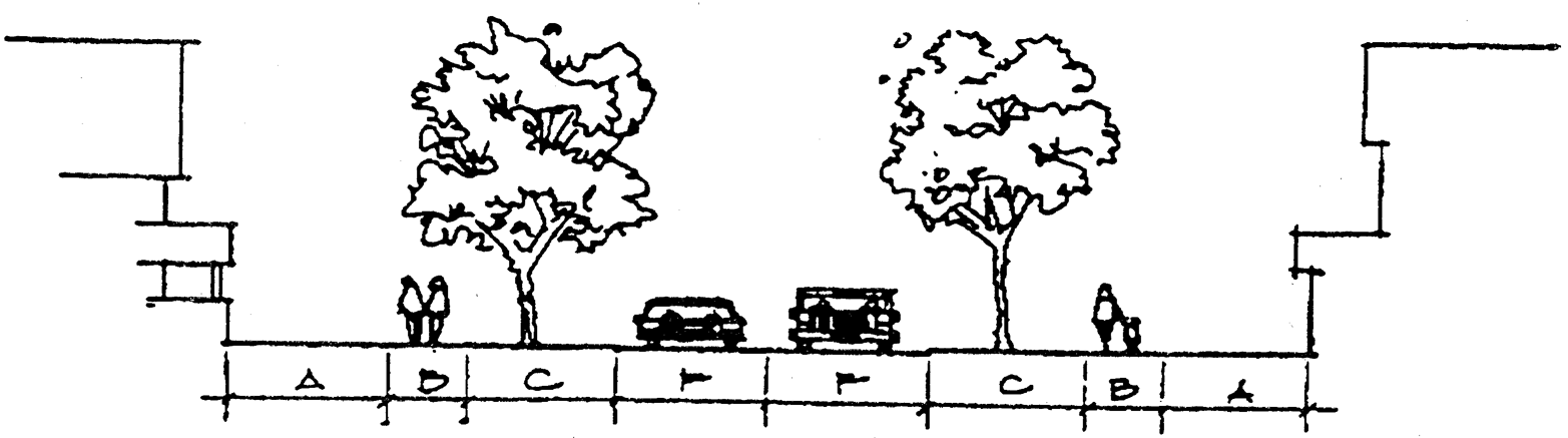 Local Street Cross-Section