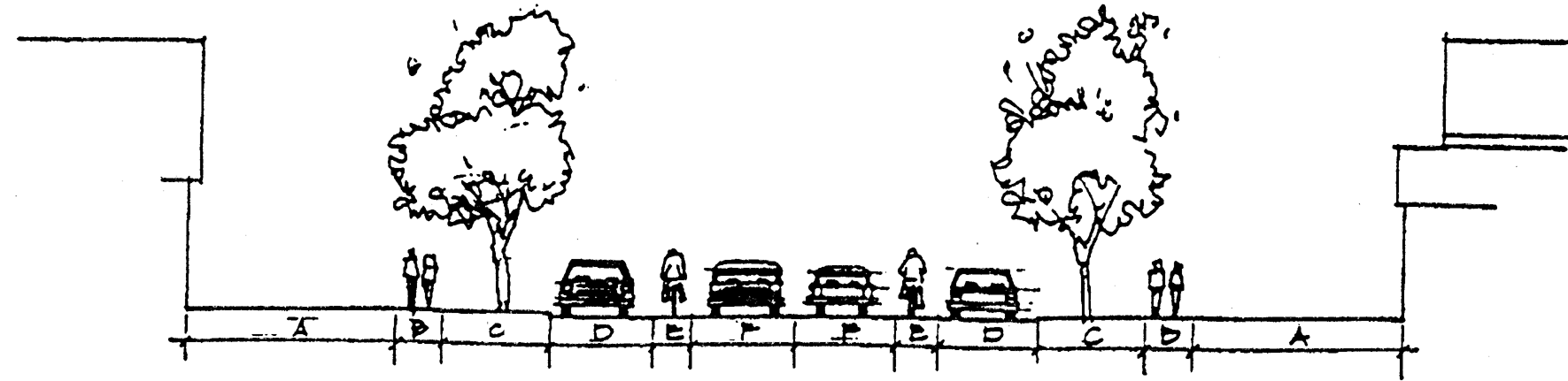 Collector Street Cross-Section