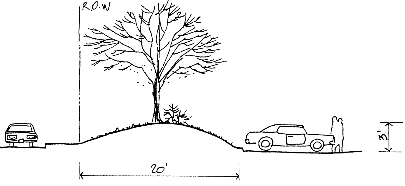 20-foot buffer