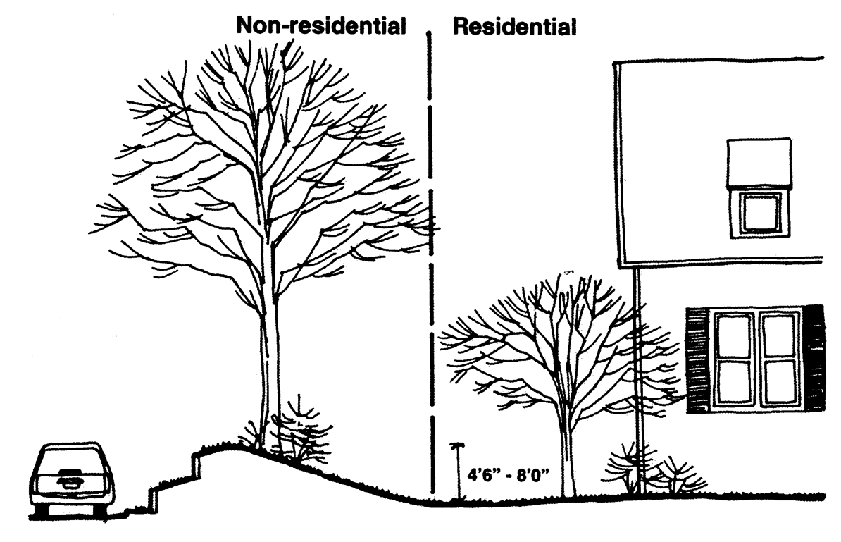Berms-2