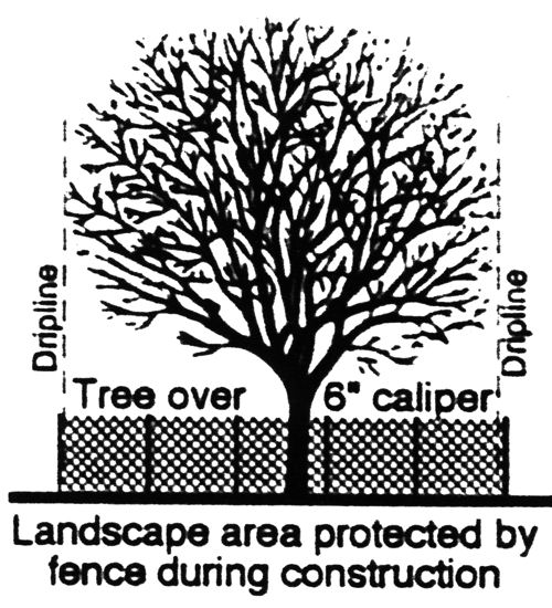 Preservation of Trees