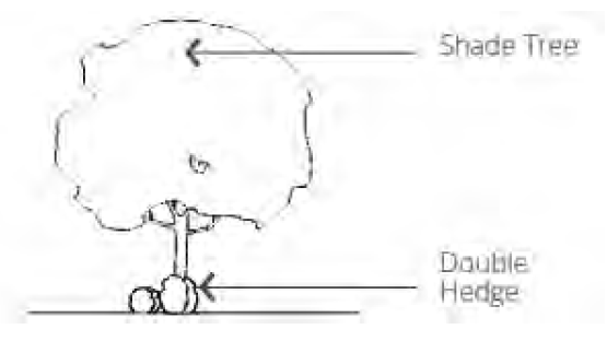 Figure 122-630.2 Side and Rear Buffer Elevation