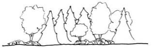 Figure 122-631.2 Screening Buffer Elevation