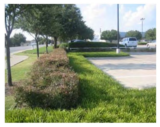 Figure 122-830.1 Example of Plant Screening