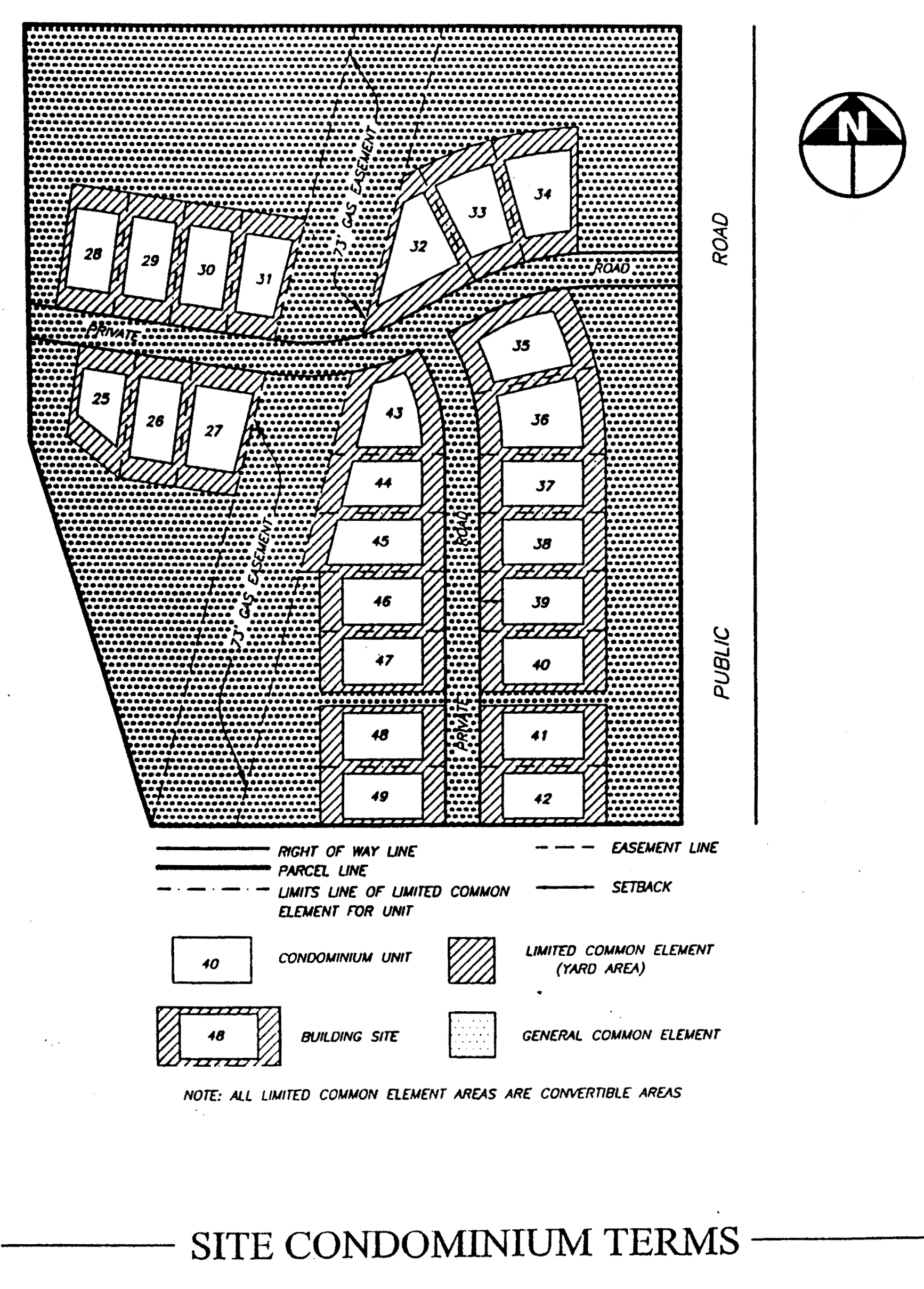 graphic10