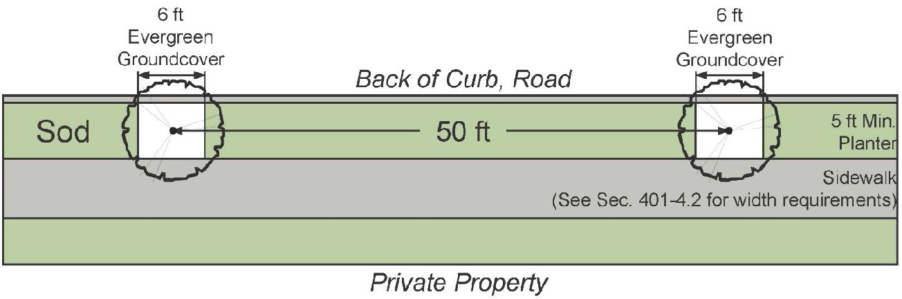 Plan View