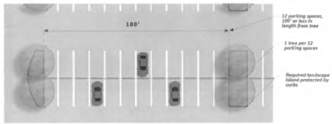 Figure 34: Parking Lot Tree Requirements