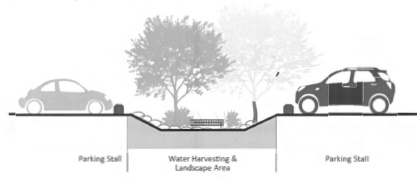 Figure 35: Parking Lot Bioretention