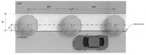 Figure 32: Streetscape Landscaping Where 4 Feet Exists