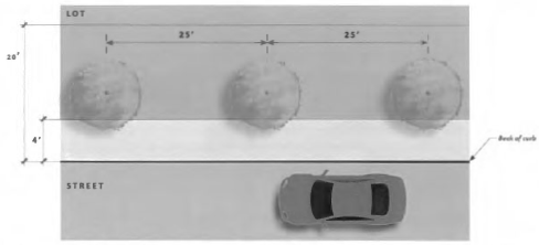 Figure 33: Streetscape Landscaping Where Less than 4 Feet Exists