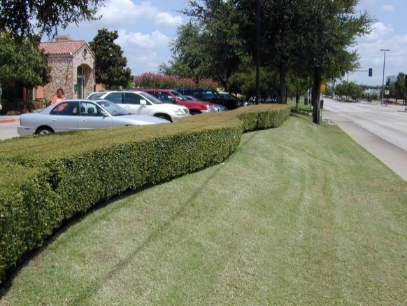 Figure 1: Parking Lot Headlight Screening