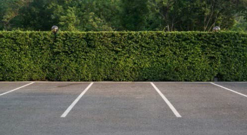 Figure 5: Landscape Buffer