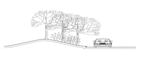 Planted Berm