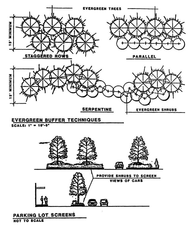 Figure D. Screening Evergreen and Parking