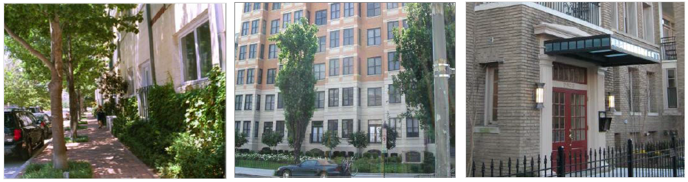 Street-oriented residential buildings with small Dooryards.
