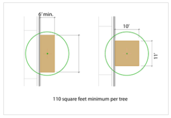 Figure A-2: Individual Tree Planting