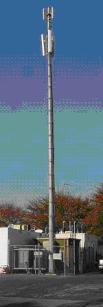 Monopole