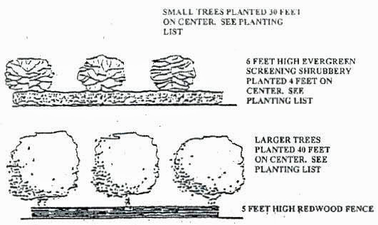 Illustration of Shrubs, Small Trees and Large Trees Plantings