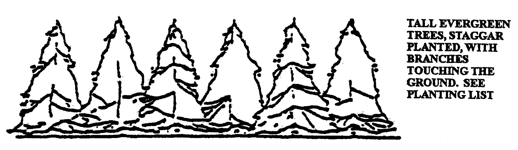 Illustration of Trees and Large Shrubs for Screening