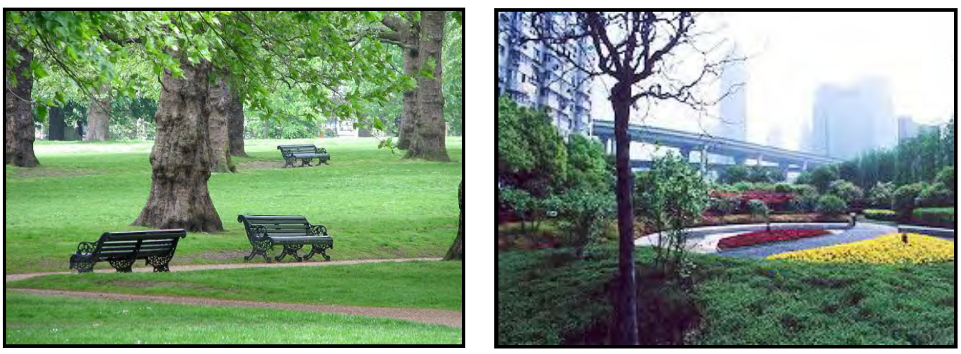 EXAMPLES OF GREENS