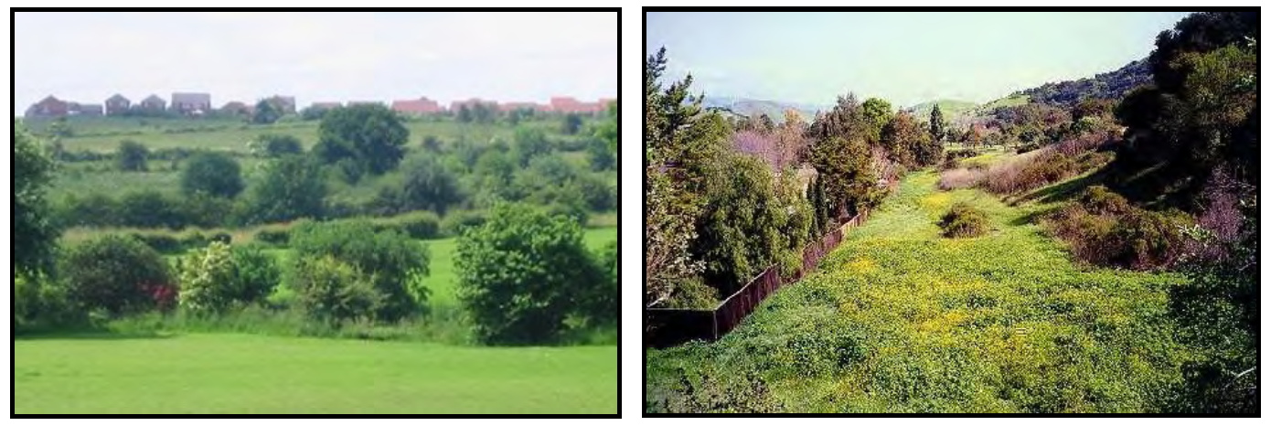 EXAMPLES OF GREENBELTS