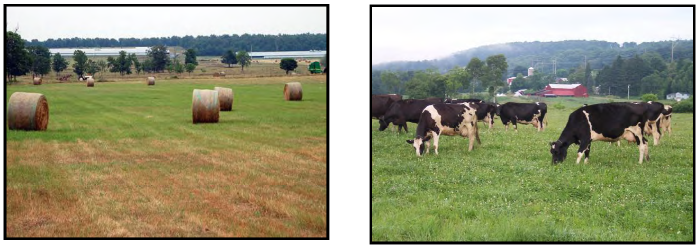 EXAMPLES OF AGRICULTURAL PRESERVES
