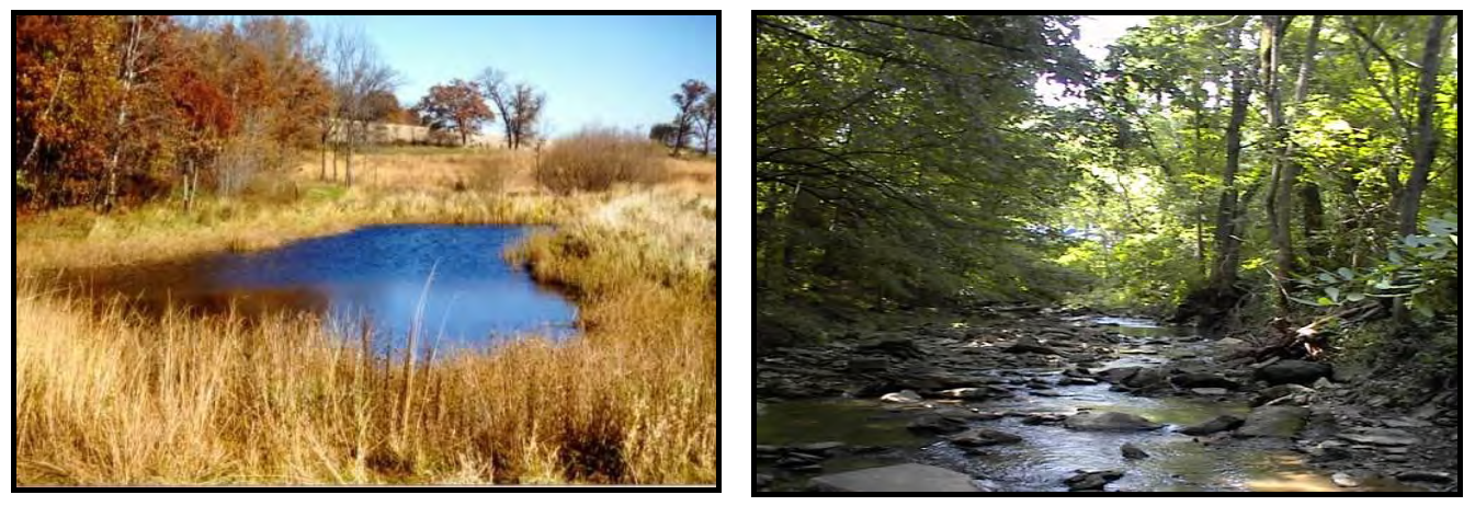 EXAMPLES OF NATURE PRESERVES