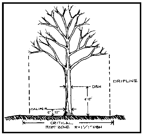 FIG A.4: DRIPLINE