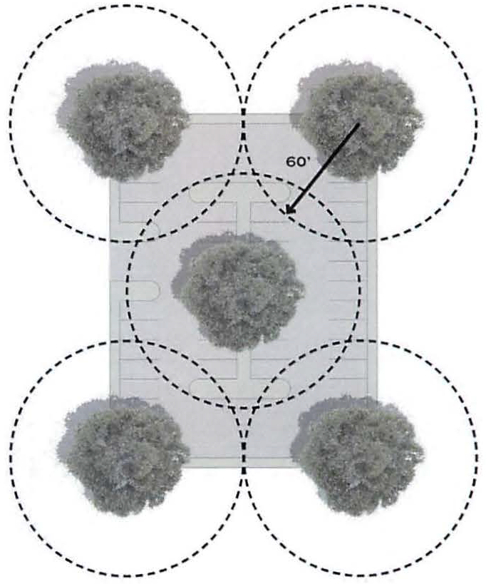 FIGURE 8.4: PARKING LOT TREES