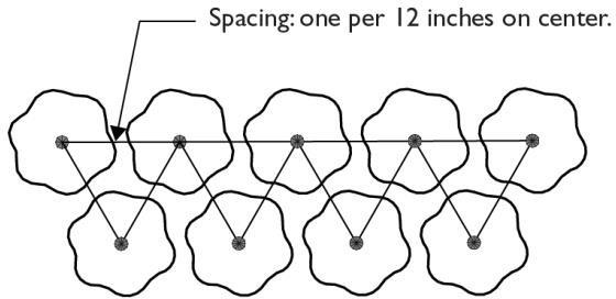Figure 11.24.060(a)(6): Ground Cover Spacing