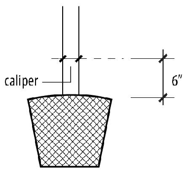 Figure 95-1: Caliper (Tree) Measurement